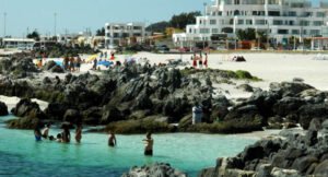 Área de Gastronomía de Santo Tomás Copiapó entrega recomendaciones para disfrutar productos del mar durante el Mes del Mar
