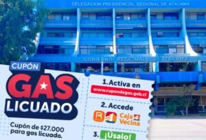 Cupón de Gas Licuado: Delegada Sofía Cid llama a no dejar la activación para última hora