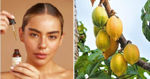 Papaya chilena da un salto a la cosmética gracias a innovadora biotecnología