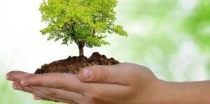 “Energías renovables: una oportunidad concreta para construir un futuro más sostenible”