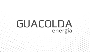 Declaración pública Guacolda Energía