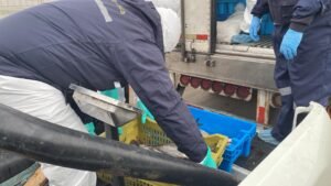 Nuevos controles en la región de Atacama suman 35 toneladas de jurel ilegal