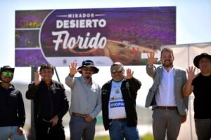 “Mira, Disfruta y Cuida”: lanzan campaña para proteger el Desierto Florido y orientar a sus visitantes